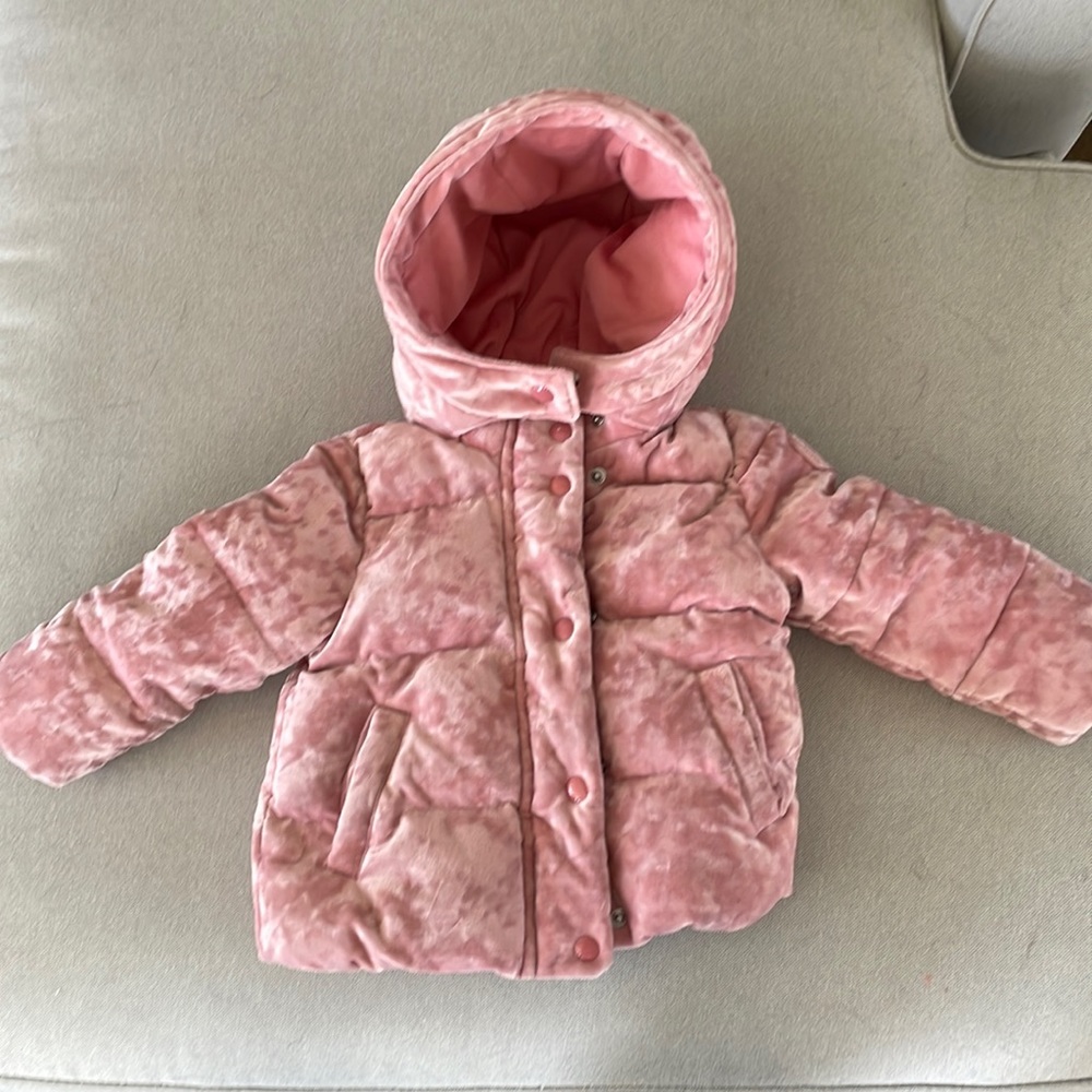 Baby Gap Velvet Puffer